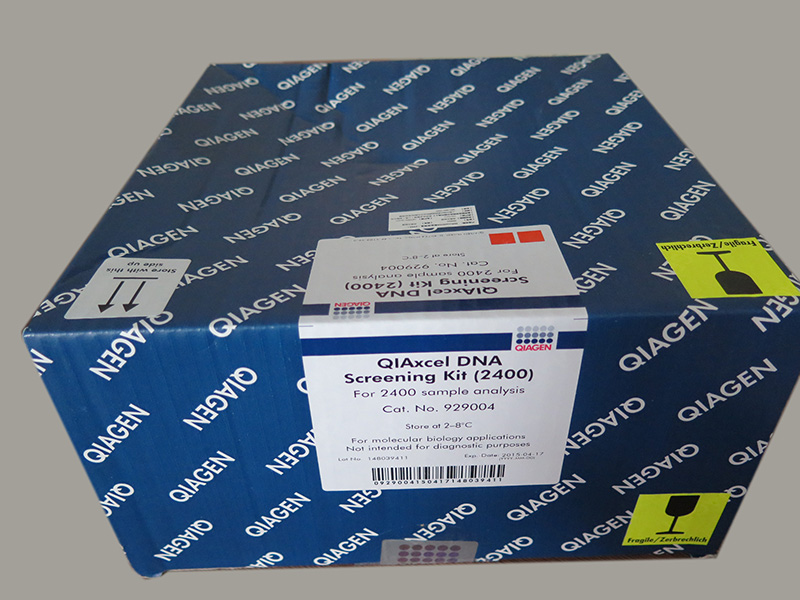 QIAGEN 929004试剂盒